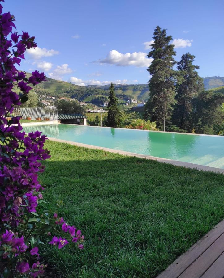 Отель Quinta Da Travessa - Douro Covelinhas Экстерьер фото