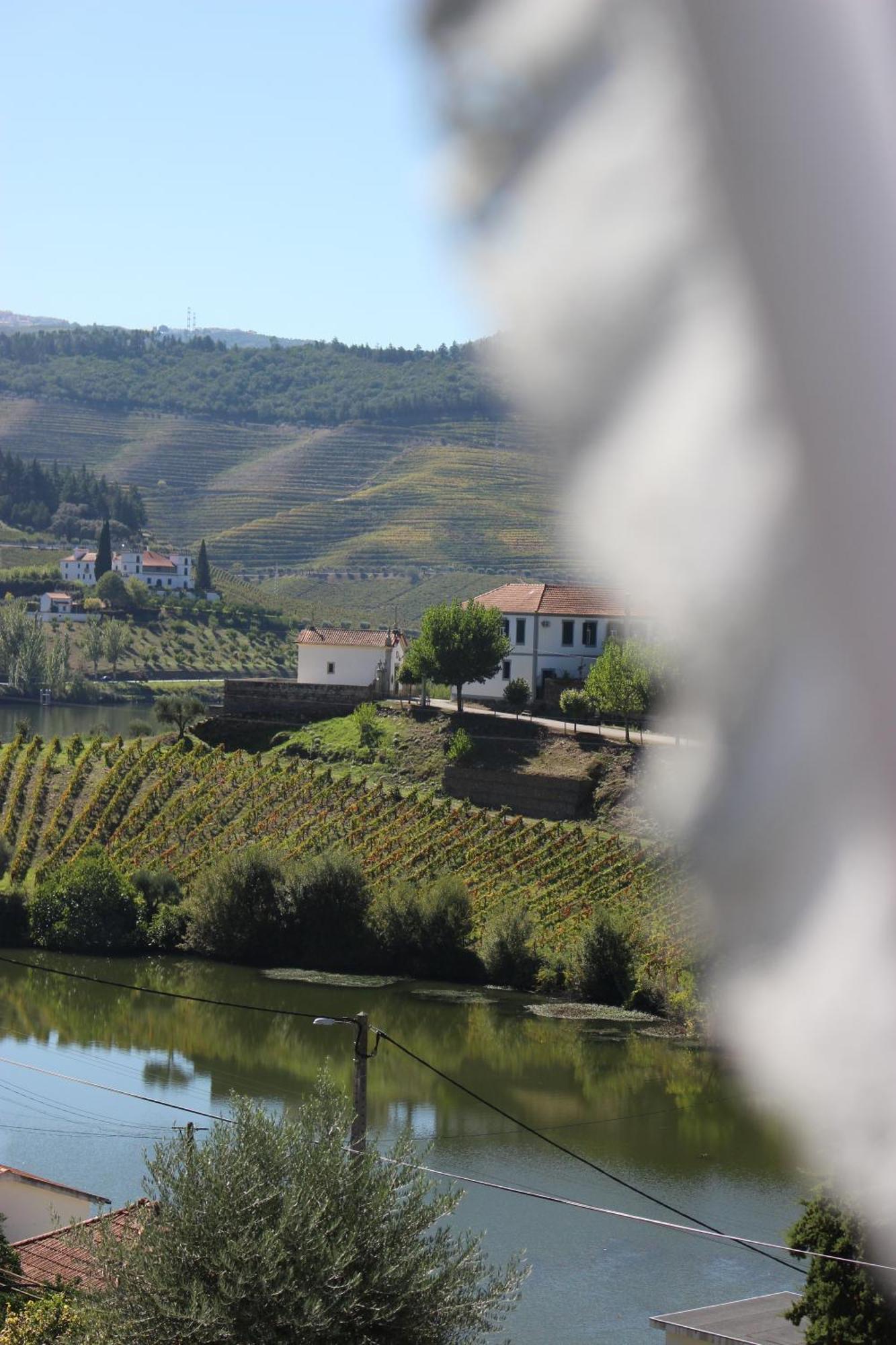 Отель Quinta Da Travessa - Douro Covelinhas Экстерьер фото